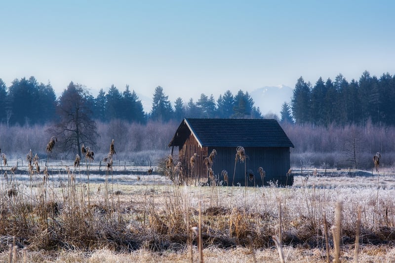 Rustic Romance